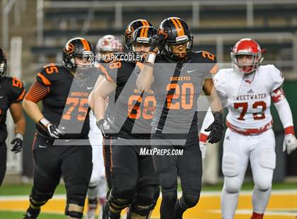 Thumbnail 3 in Sweetwater vs. Gilmer (UIL 4A Semifinal) photogallery.