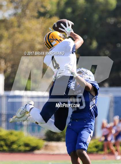 Thumbnail 2 in Milpitas @ Los Altos photogallery.
