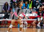 Photo from the gallery "Potomac Senior @ Gar-Field"