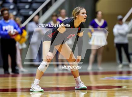 Thumbnail 3 in Liberty Hill vs. Lovejoy (UIL 5A Volleyball Final) photogallery.