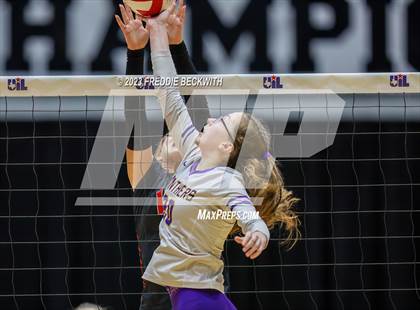 Thumbnail 1 in Liberty Hill vs. Lovejoy (UIL 5A Volleyball Final) photogallery.