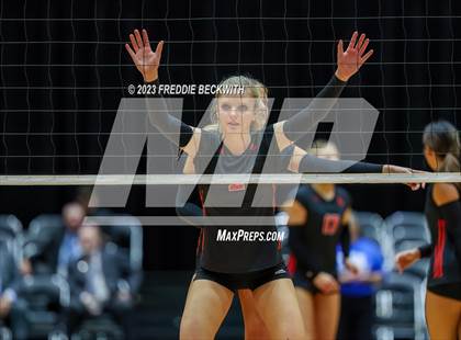 Thumbnail 3 in Liberty Hill vs. Lovejoy (UIL 5A Volleyball Final) photogallery.