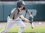 Photo from the gallery "Williamston vs. DeWitt"