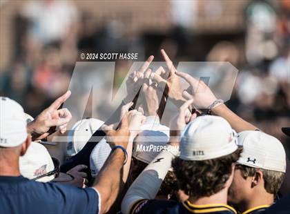 Thumbnail 1 in Williamston vs. DeWitt photogallery.
