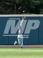 Photo from the gallery "Williamston vs. DeWitt"