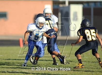 Thumbnail 2 in Palo Verde @ Flowing Wells photogallery.