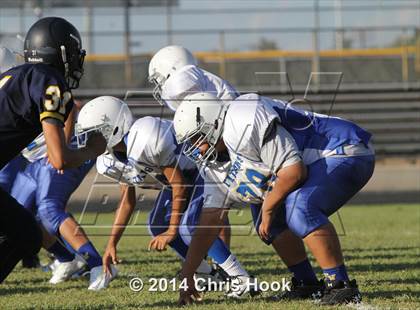 Thumbnail 1 in Palo Verde @ Flowing Wells photogallery.