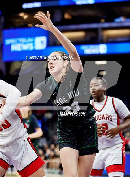 Thumbnail 1 in Sage Hill vs Carondelet (CIF State D1 Final) photogallery.