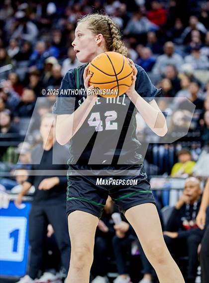 Thumbnail 2 in Sage Hill vs Carondelet (CIF State D1 Final) photogallery.