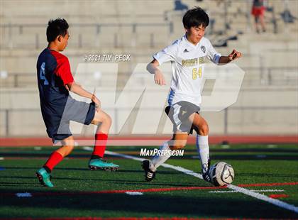 Thumbnail 1 in Sunny Hills @ Yorba Linda photogallery.