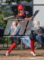 Photo from the gallery "South Albany @ West Albany"