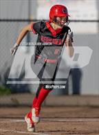 Photo from the gallery "South Albany @ West Albany"