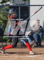 Photo from the gallery "South Albany @ West Albany"