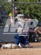 Photo from the gallery "South Albany @ West Albany"