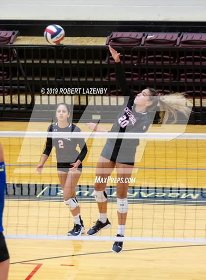 Thumbnail 3 in Churchill vs. Clemens  photogallery.