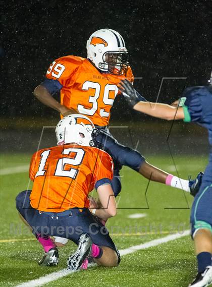 Thumbnail 1 in Briar Woods @ Woodgrove photogallery.