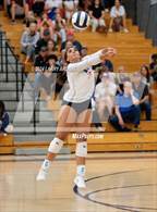Photo from the gallery "Buchanan @ Liberty"