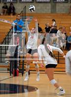 Photo from the gallery "Buchanan @ Liberty"