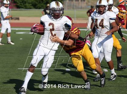 Thumbnail 3 in Bellflower @ Esperanza photogallery.