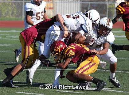 Thumbnail 1 in Bellflower @ Esperanza photogallery.