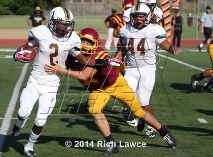 Thumbnail 1 in Bellflower @ Esperanza photogallery.