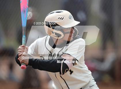 Thumbnail 2 in Salpointe Catholic vs Douglas (Lancer Baseball Classic) photogallery.