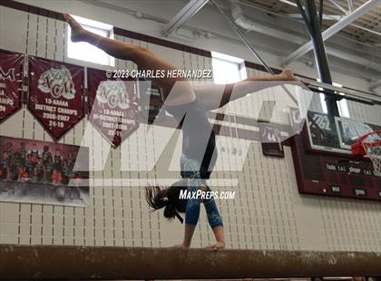 Thumbnail 2 in THSGCA State Meet (Balance Beam- Optional) photogallery.