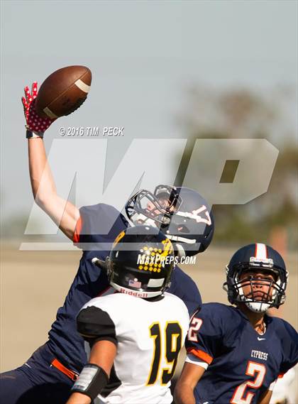 Thumbnail 2 in Capistrano Valley @ Cypress photogallery.