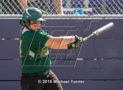 Thumbnail 3 in Shasta @ Red Bluff photogallery.