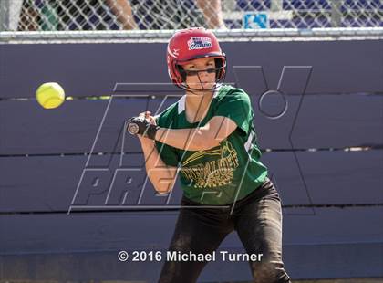 Thumbnail 2 in Shasta @ Red Bluff photogallery.