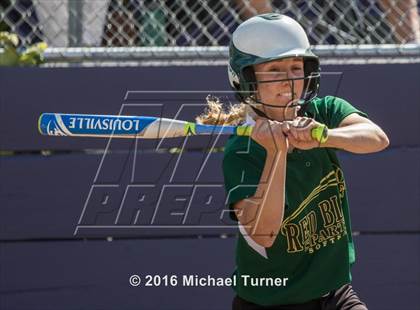Thumbnail 2 in Shasta @ Red Bluff photogallery.