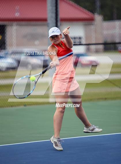 Thumbnail 2 in Croatan @ Dixon photogallery.
