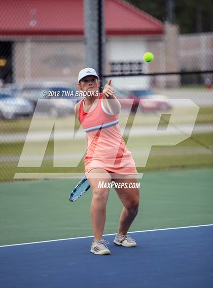 Thumbnail 1 in Croatan @ Dixon photogallery.