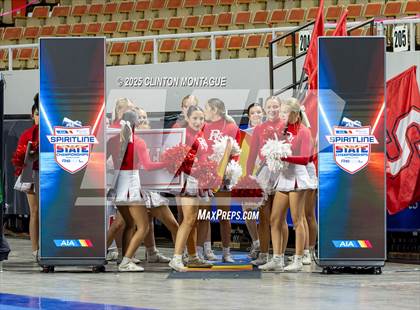 Thumbnail 3 in River Valley - Cheer (AIA Division IV Final) photogallery.