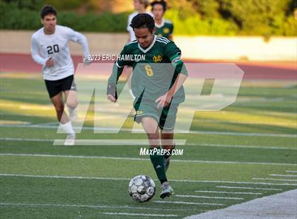 Thumbnail 3 in Peninsula @ Mira Costa photogallery.