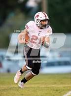 Photo from the gallery "Etna @ Weed"