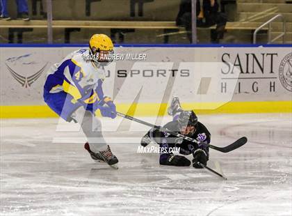 Thumbnail 3 in West Seneca West vs. John Jay (NYSPHSAA D2 Semifinal) photogallery.