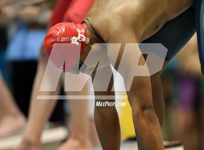 Thumbnail 1 in CHSAA 5A Swimming Championships (Prelims) photogallery.