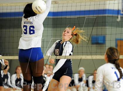 Thumbnail 3 in Lyman Hall @ West Haven photogallery.