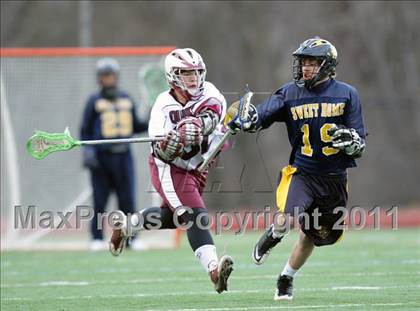 Thumbnail 1 in Sweet Home @ Orchard Park photogallery.