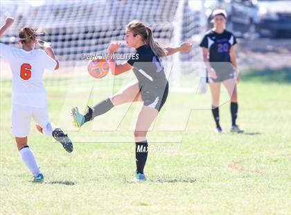 Thumbnail 1 in Blue Ridge @ Chino Valley (AIA 2A Semifinal) photogallery.