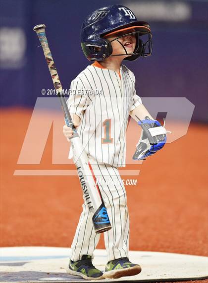 Thumbnail 3 in 2019 Tampa Bay All Star Classic photogallery.