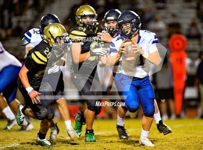 Thumbnail 3 in Perry @ Basha photogallery.