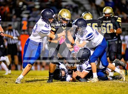 Thumbnail 1 in Perry @ Basha photogallery.