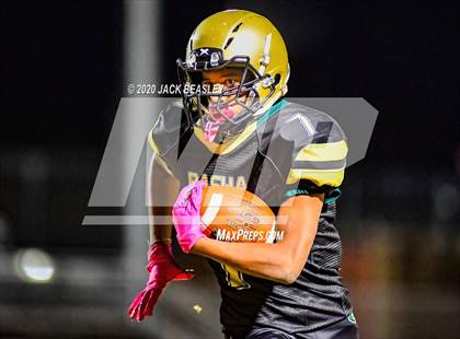 Thumbnail 3 in Perry @ Basha photogallery.