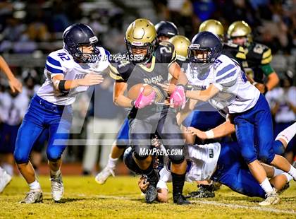 Thumbnail 2 in Perry @ Basha photogallery.