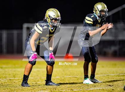 Thumbnail 1 in Perry @ Basha photogallery.