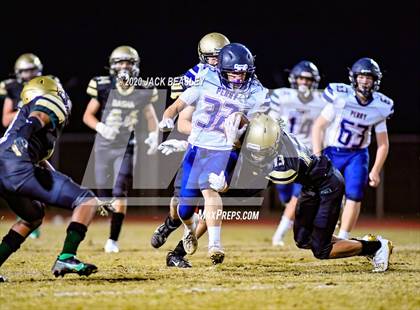 Thumbnail 3 in Perry @ Basha photogallery.