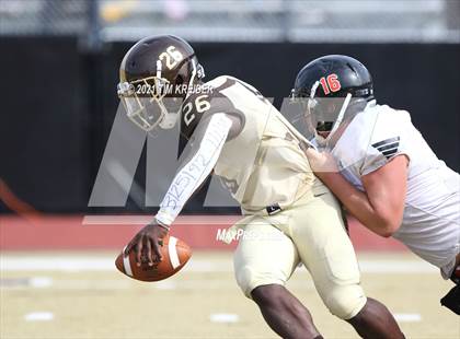 Thumbnail 3 in Milton Hershey @ Palmyra photogallery.