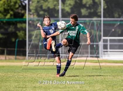 Thumbnail 2 in Hartford Public @ Northwest Catholic (scrimmage) photogallery.